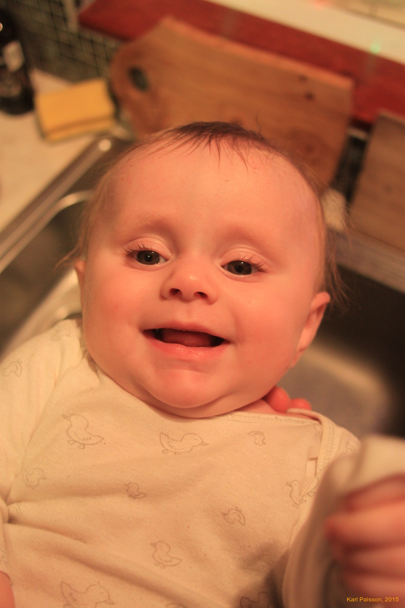 Stella in the kitchen