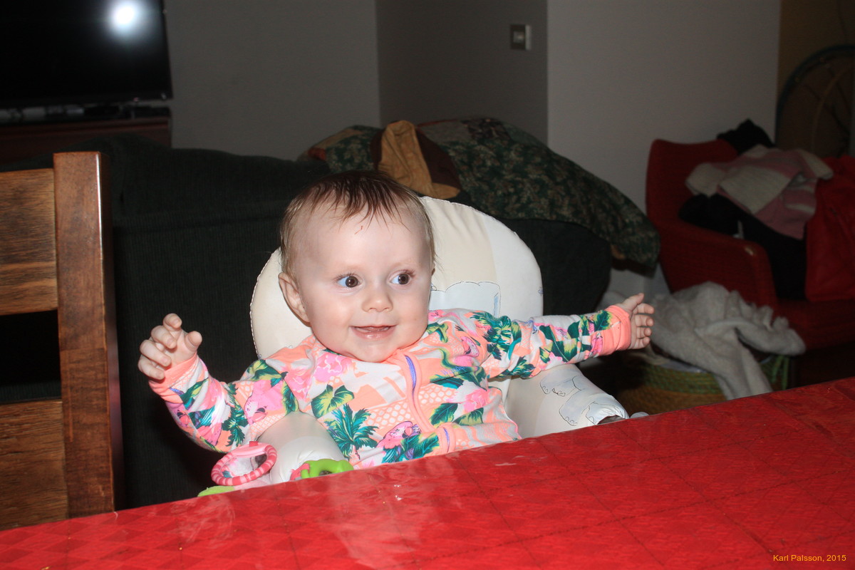 Stella telling stories