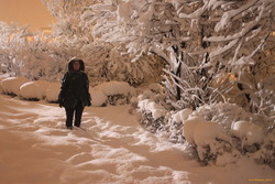 Helen in the Alþingi garden
