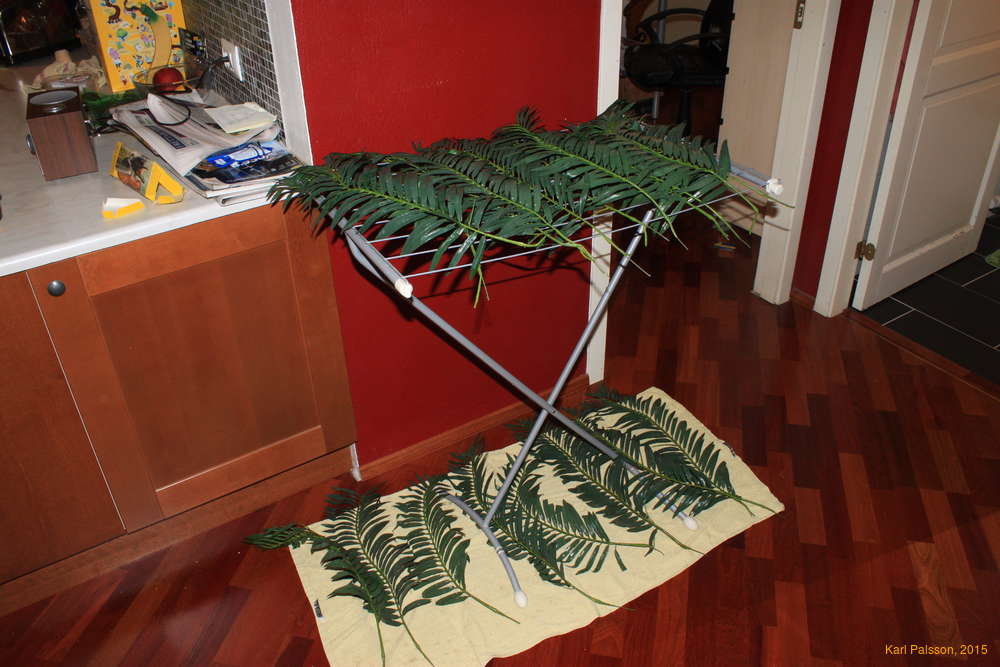 Doing the laundry, Ránargata style