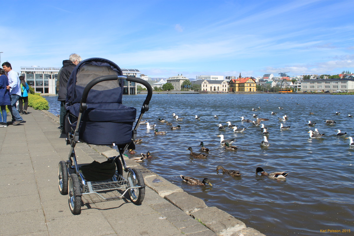 Listening to the ducks