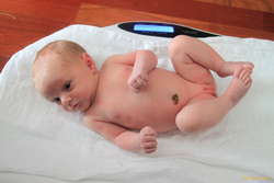 Weigh in before the main event