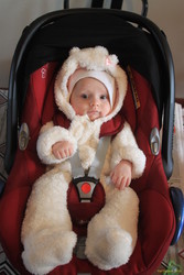 Polar bear outfit