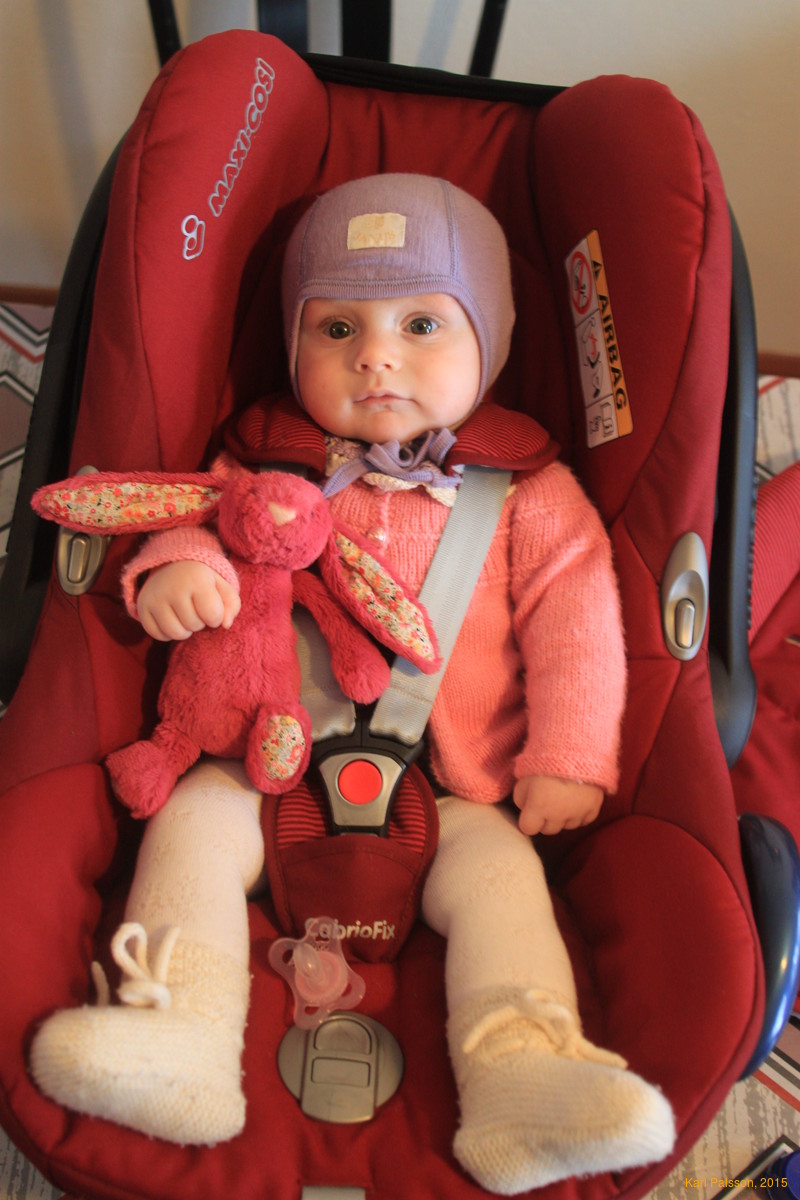 Stella and Fjóla ready for the road