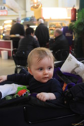 Stella in Kolaportið