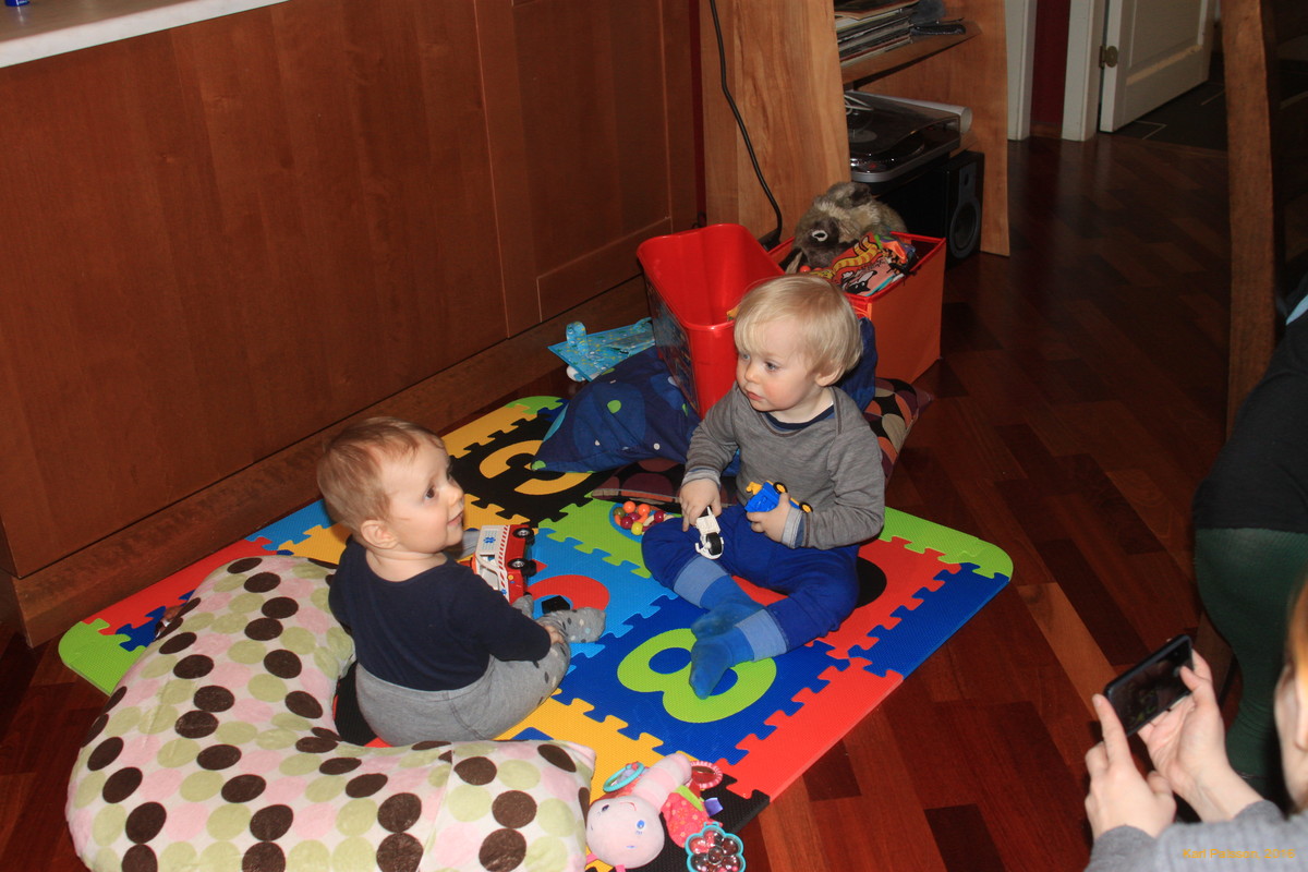 Stella playing with Sölvi