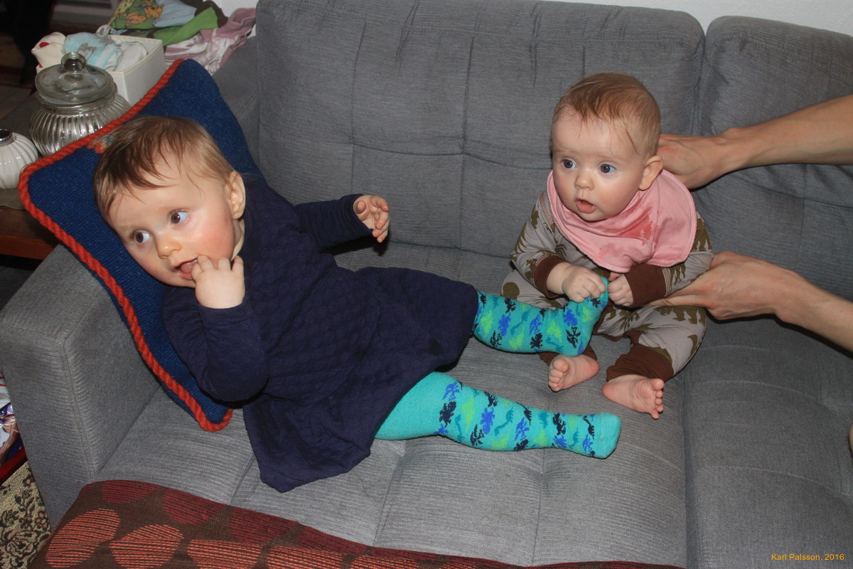 Stella getting a foot rub from Vilja Hvönn