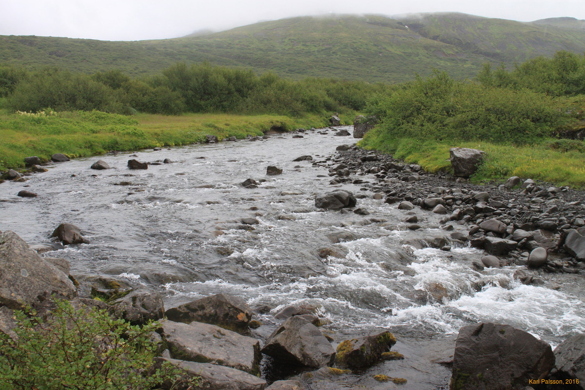 Walking up this stream