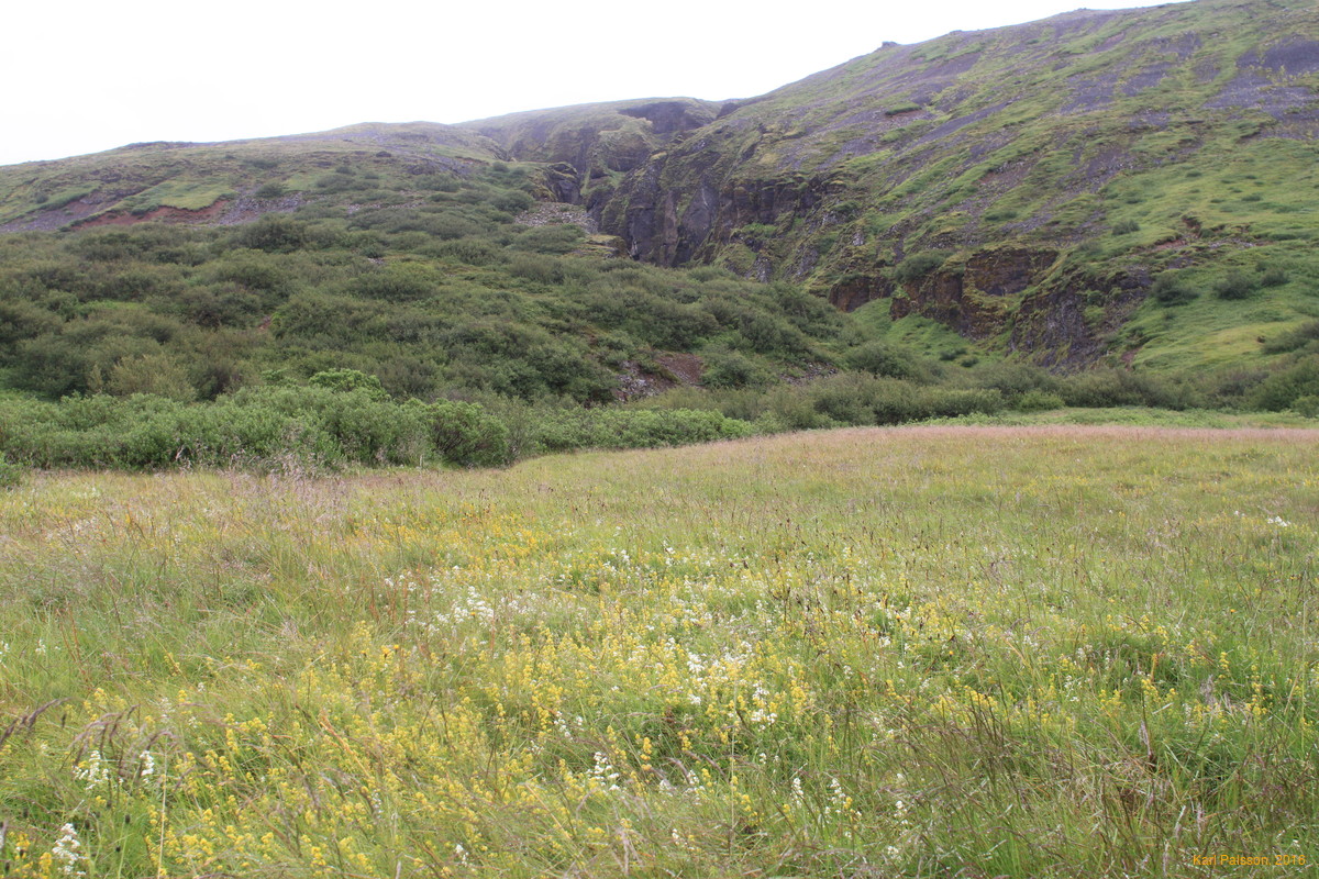 Secret canyon full of waterfall
