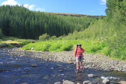 Nice little glade on Hvammsá