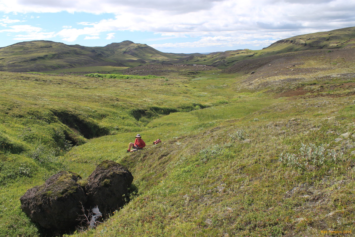 Mum looking at plants in a creek on Blakkdalsháls