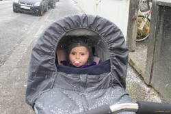 Stella in her chariot