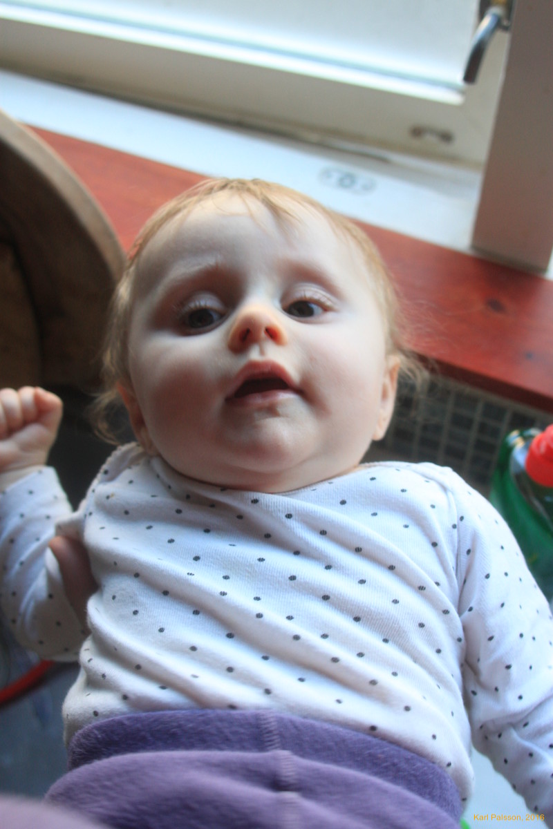 Stella in the kitchen