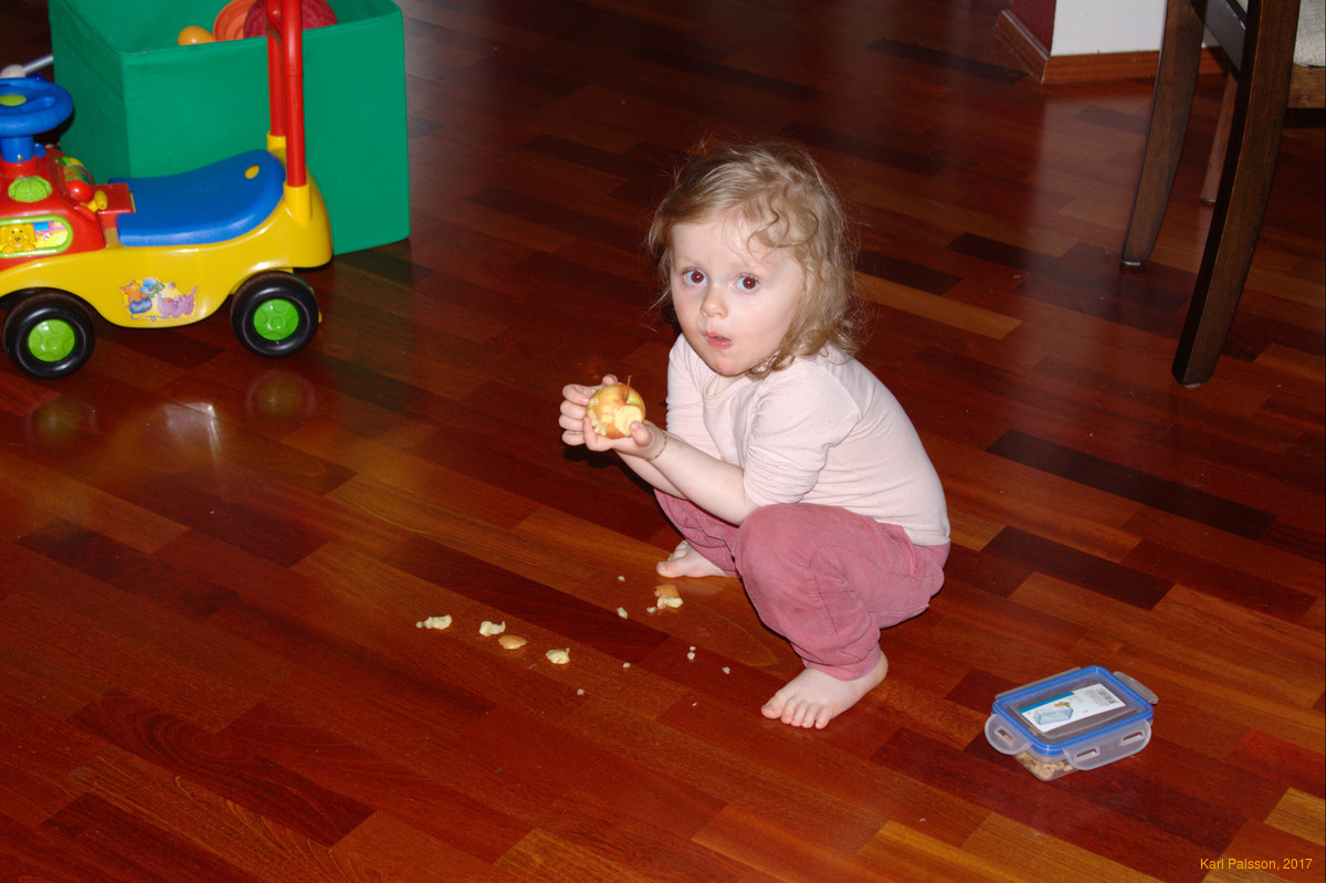 Stella found an apple