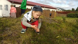 Stella picking krækiber