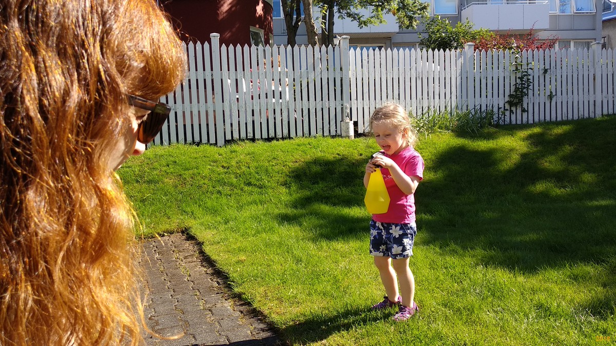 Happy day of sunshine