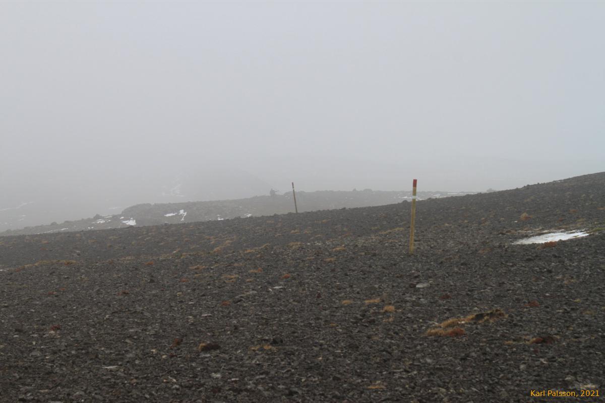 Exposed walking back