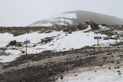 This way... or that...