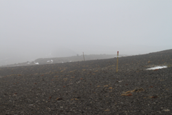 Exposed walking back