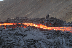 Down by the riverbank