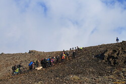 Everyman, his dog, and their bikes