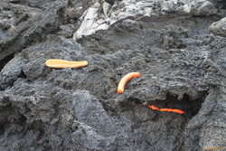 Cooking on a natural stovetop