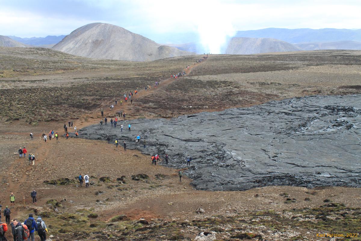 An old tongue from last year, now a sideshow in it's own right