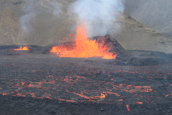 The pool and it's parents